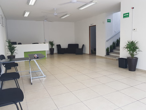 INECI Colima