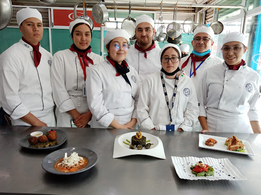 INSTITUTE OF CUISINE ISIMA