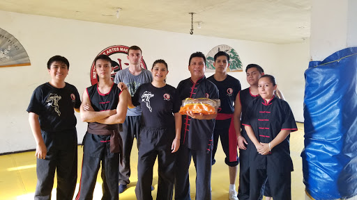 INSTITUTO DE ARTES MARCIALES CHINAS