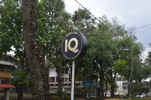 IQ English Xalapa