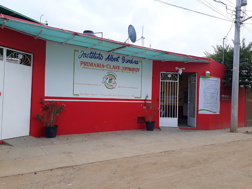 Instituto Albert Bandura Primaria