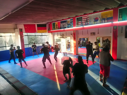 Instituto De Artes Marciales Mixtas Del Oriente