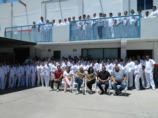 Instituto Fibonacci / Universate