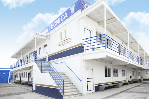Instituto Freedman
