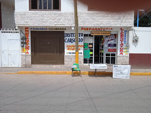 Instituto carsolio