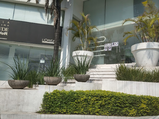 JOSSCLAUDE & BeLLVeR Monterrey