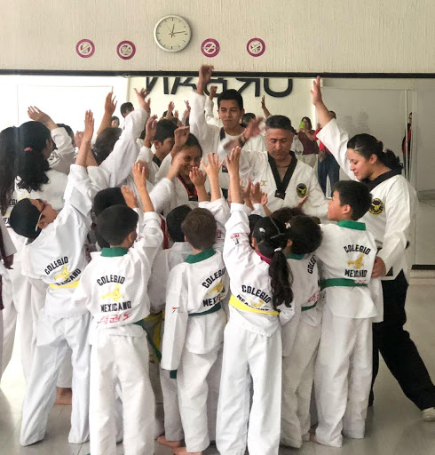 Jangseung Taekwondo México 