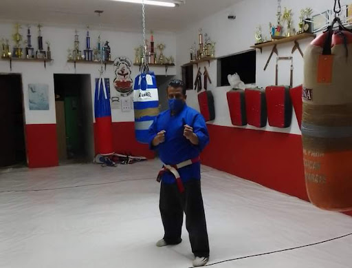 Kaisendo México Defensa Personal Dinámica