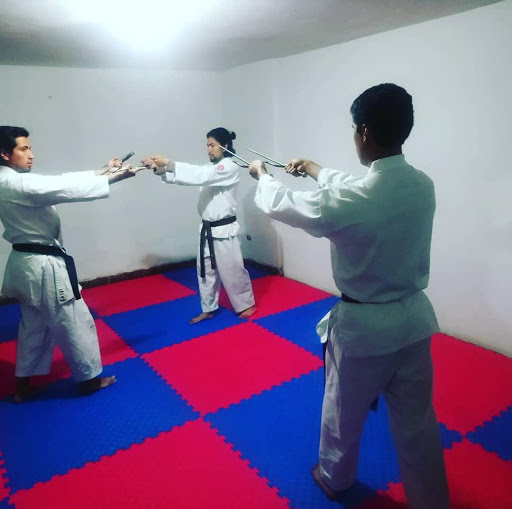 Karate Do Rōnin Dojo