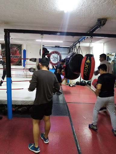 Legión Kraken Escuela de Boxeo y Artes Marciales/Daniri Jiu jitsu
