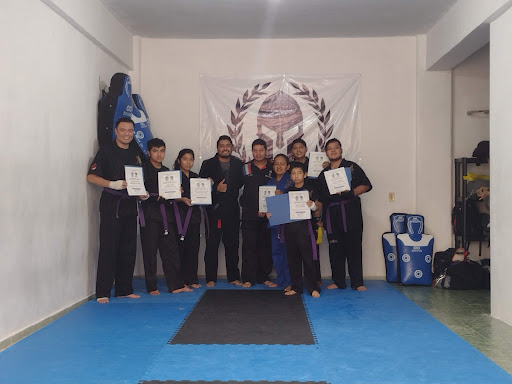 Legión XIII Artes Marciales