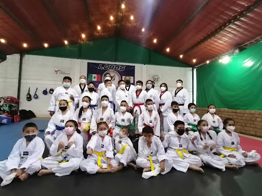 Lobos Taekwondo MX