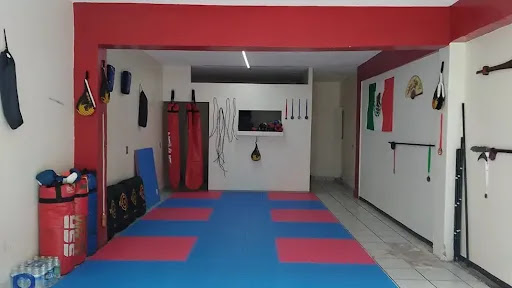 Mano de dragón escuela de artes marciales chinas Colotlán