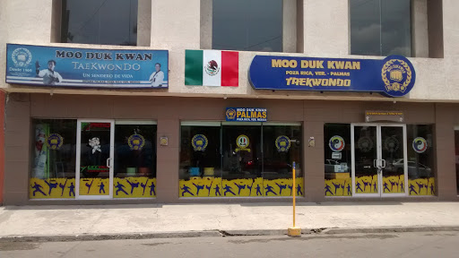 Mod Duk Kwan - Palmas