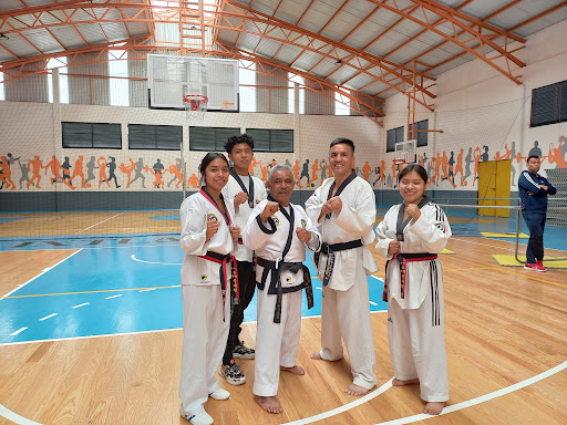 Moo Duk Kwan Central Toluca