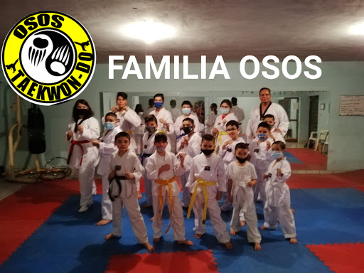 Osos taekwondo