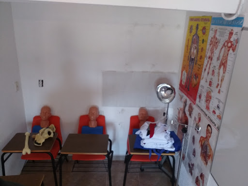 PROSESAVI S.A. DE C.V. (Cursos Aux. Enfermería, Paramedico TAMP, Instructor o Capacitador)