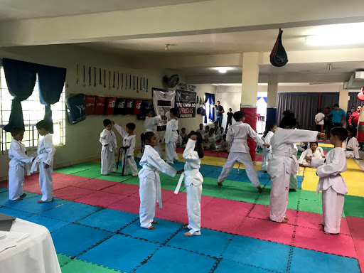 Paco Nava taekwondo