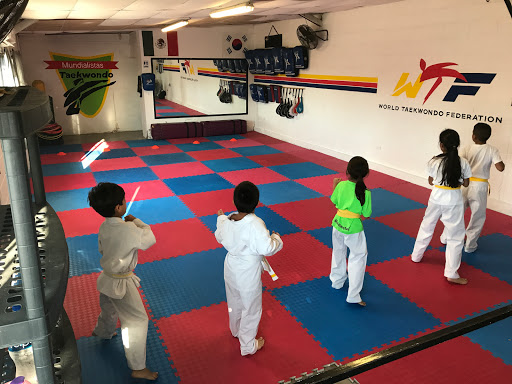 Pro3R-Taekwondo (Reforma)