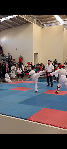 ROBLES SHOTO KAN escuela de campeones