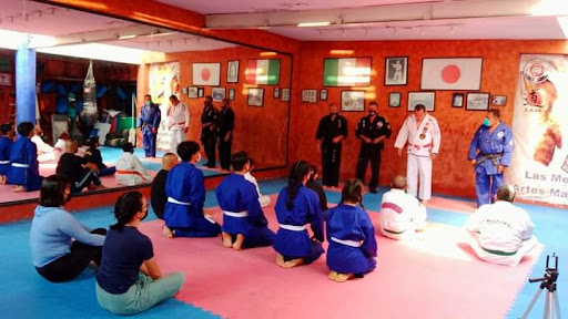 Shudokan Artes Marciales