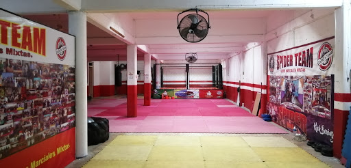 Spider Club Artes Marciales Mixtas