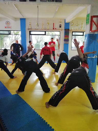 Sport karate Mass Oyama México