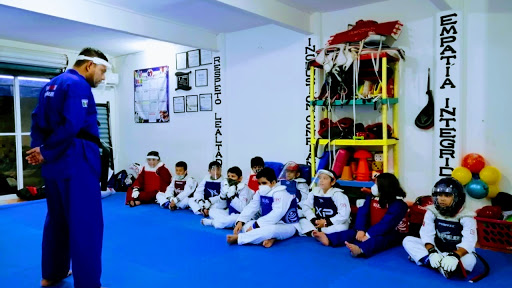 TAEKWONDO ESPECIALIZADO. VER