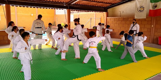 TAEKWONDO MDK CUAUTLA