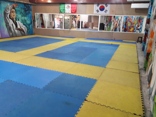 TAEKWONDO RICHO