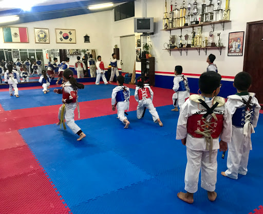 TAEKWONDO SANTA MARIA LA RIBERA