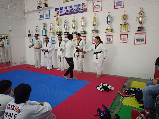 Tae Kwon Do Element (Lomas Verdes)