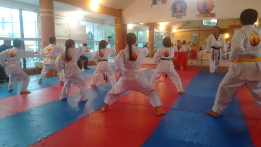Tae Kwon Do Taeki