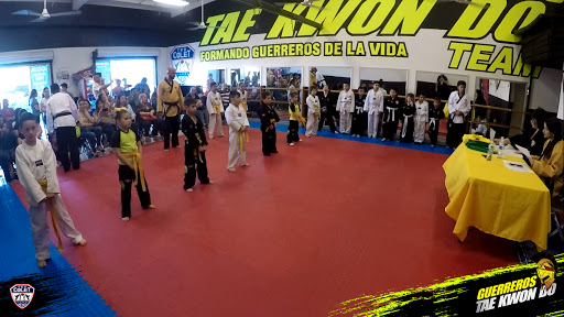TaeKwon Do Guerreros Team