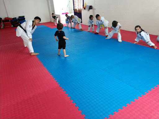 Taekwondo Vonnacher Nuevo Laredo