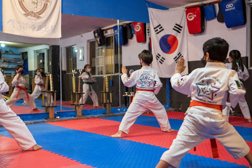 Tang Soo Do Alfa (Chihuahua)