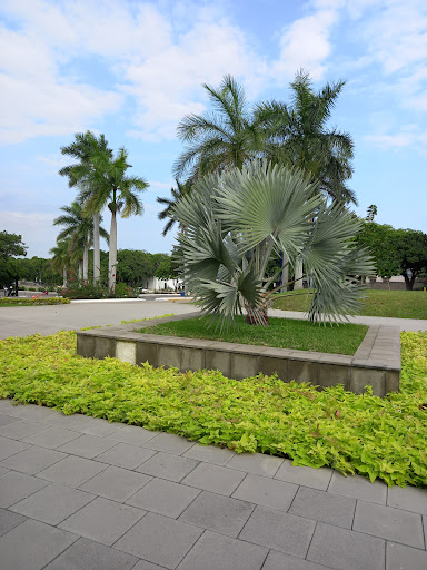The American School of Tampico