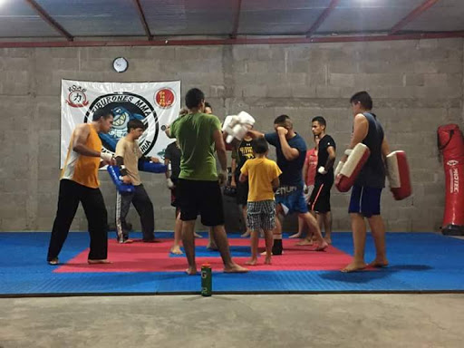 Tiburones Mma Camargo