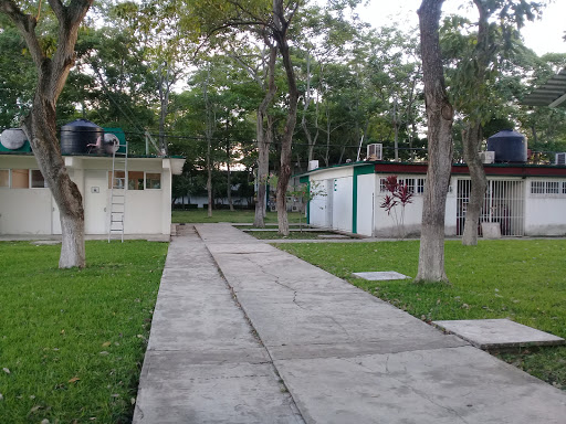 UJAT Academic Division of Basic Sciences (DACB)