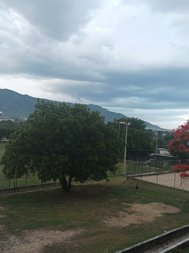 Universidad Autónoma De Tamaulipas