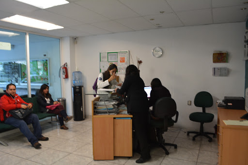 inglés individual Pachuca